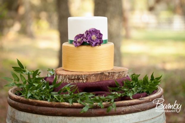 Bumby Photography, Private Location, A Chair Affair, Everything Cake