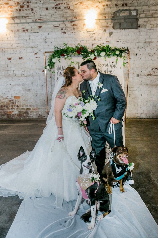 bride and groom with dogs red white and blue wedding (533x800)