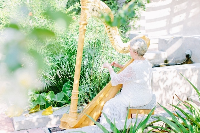sydonie mansion style shoot harp