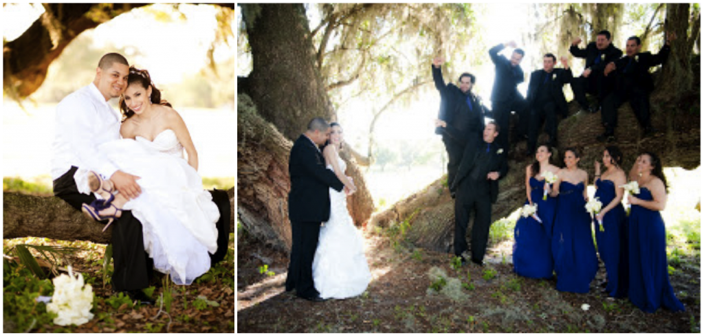 a chair affair, florida reception, florida weddings, lake mary westin, mike richards photography, designs by cornelia 2