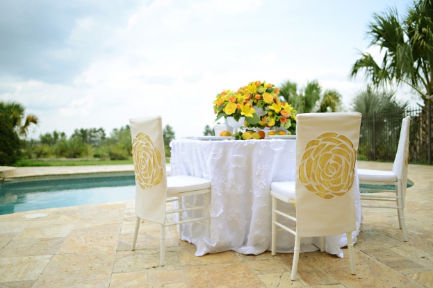 Clearly In Focus, Garden Chateau, A Chair Affair, Citrus chair sleeve