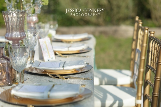 Save the Day Events, Jessica Connery Photography, A Chair Affair 5