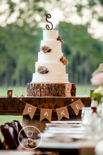 Wedding Cake Ideas, Brian Pepper Photography, Isola Farms, A Chair Affair Wedding Rentals