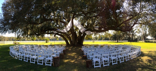 Grandfather Oak Canopy at Rocking H Ranch
