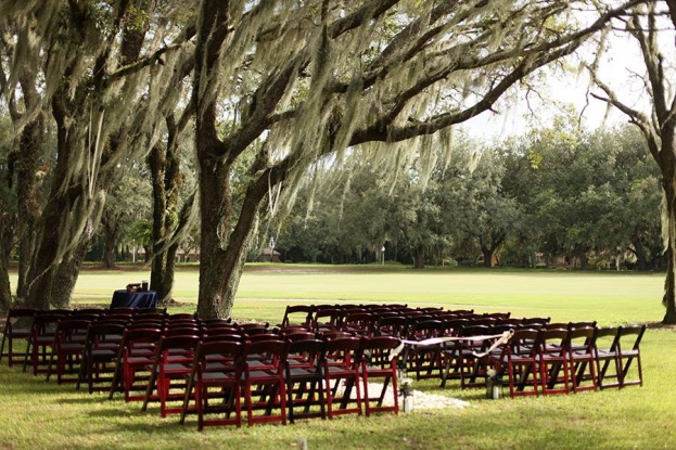 Mahogany Resin Chairs