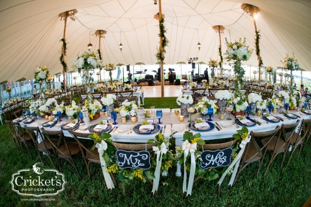 french country chairs reception