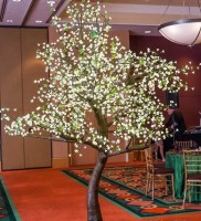 9 Foot Cherry Blossom Tree