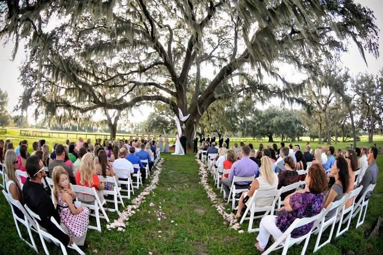 Florida Farm Wedding Venues Gallery A Chair Affair Inc