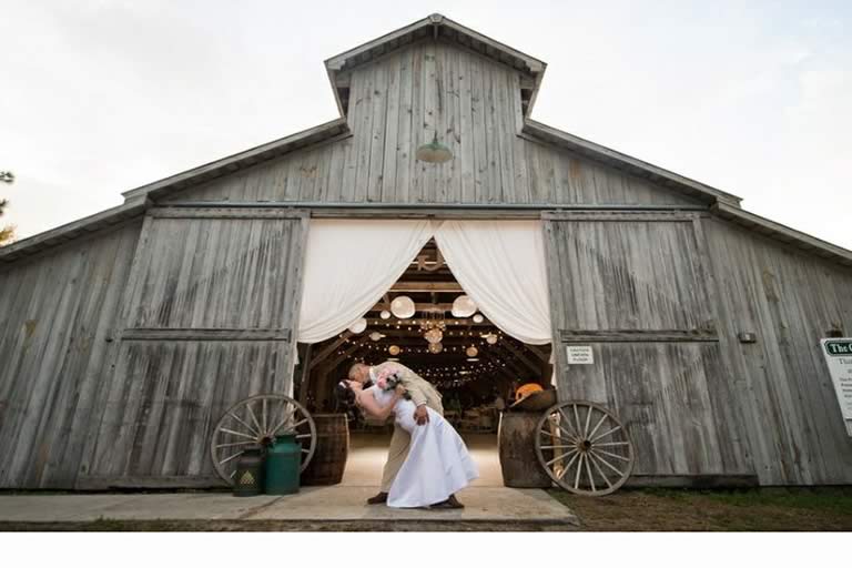 Florida Farm Wedding Venues Gallery A Chair Affair Inc