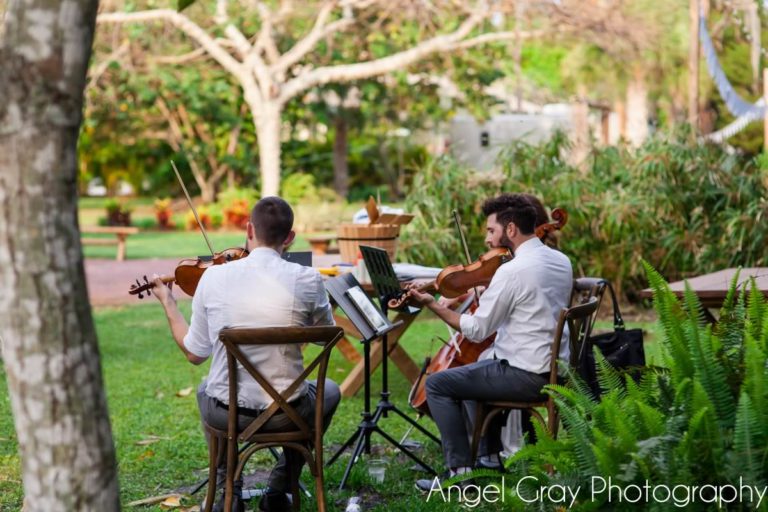 vibrant spring wedding french country chairs musicians