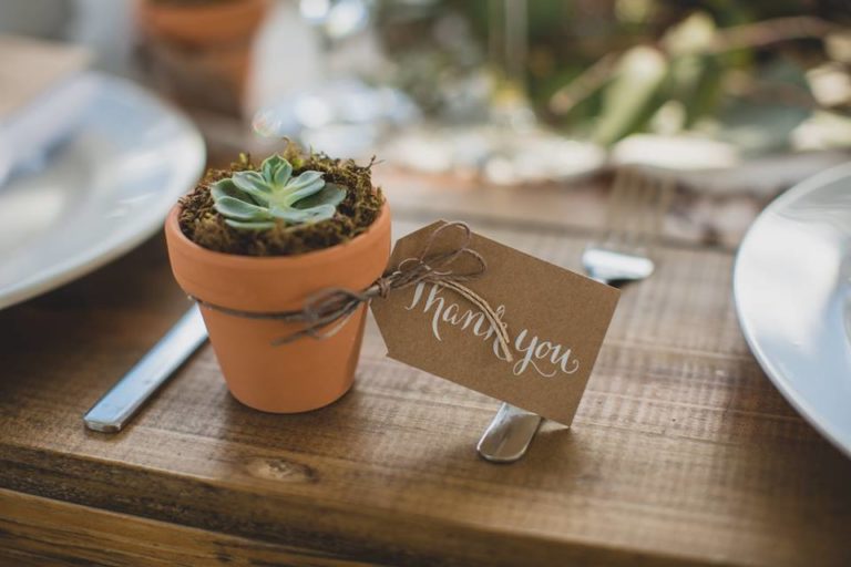 Outdoor Desert Wedding Succulent