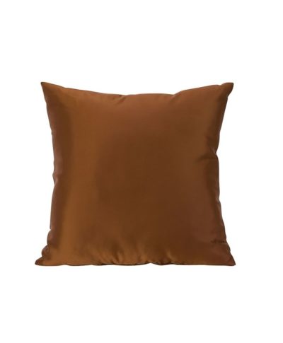 Brown Color Theory Pillows