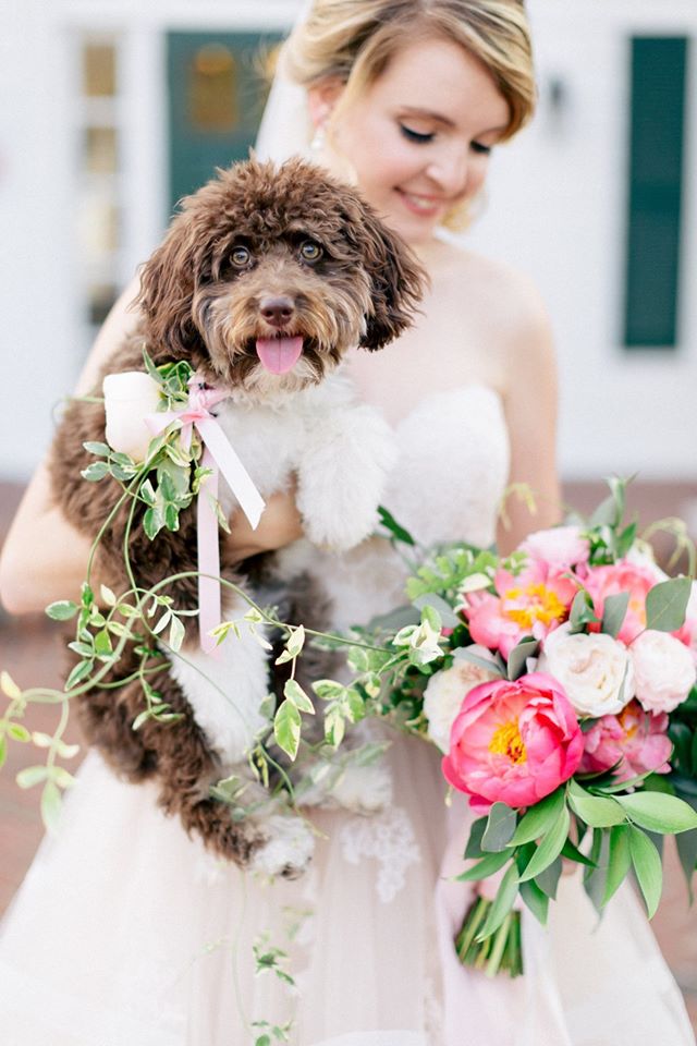 Spring Wedding Inspiration Dog Bride