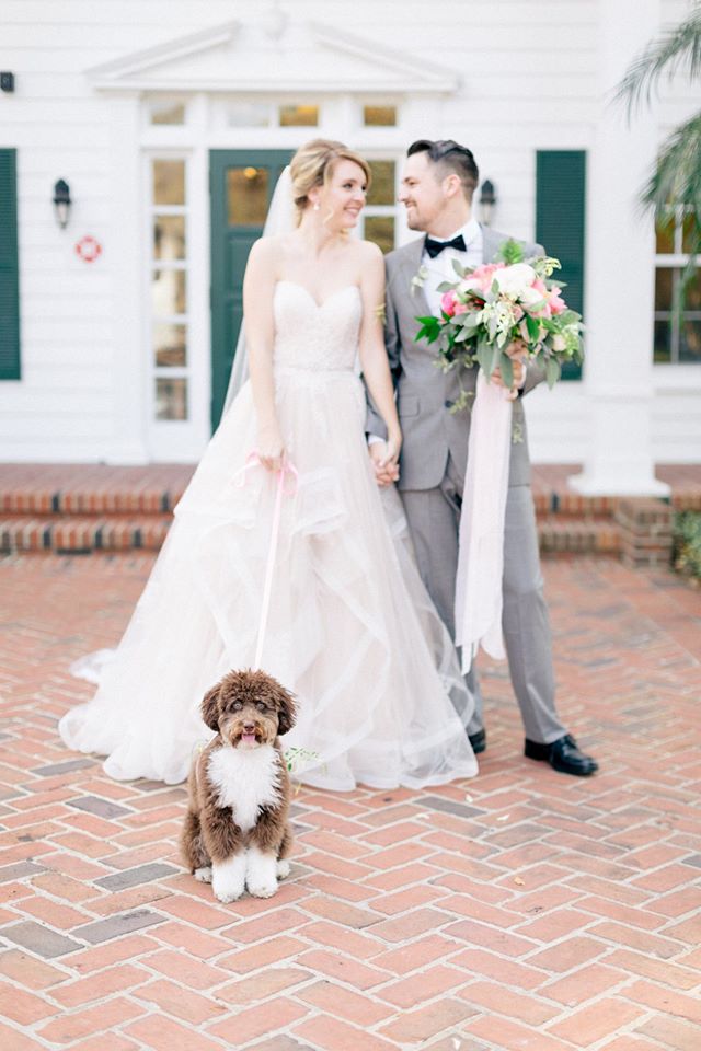 Spring Wedding Inspiration Dog Couple