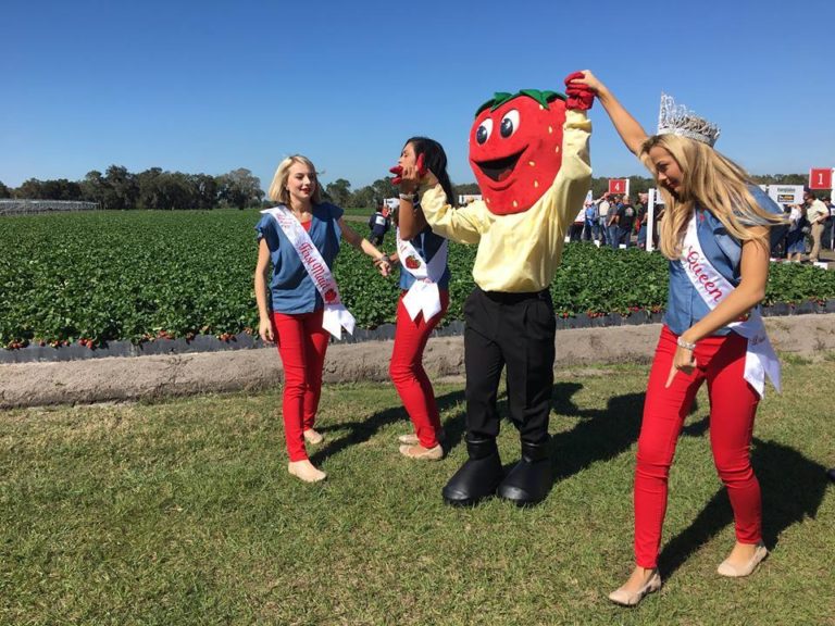 Wish Farms Strawberry Picking Challenge Queen