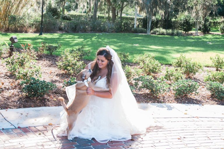 Cypress Grove Estate summer wedding A Chair Affair taylor