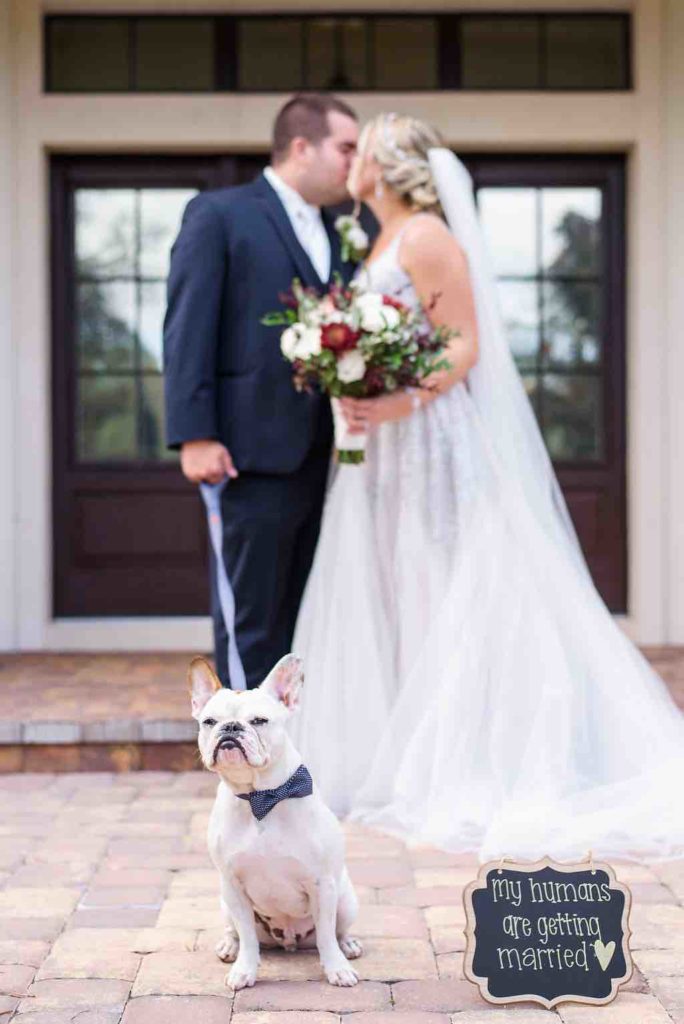 navy and burgundy wedding A Chair Affair newlyweds with dog Ernie