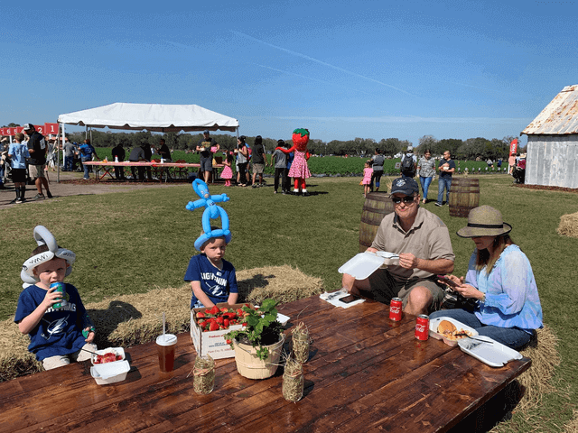 wish farms 2019 strawberry picking challenge chair affair