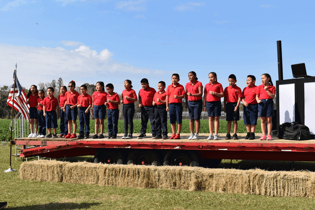 wish farms 2019 strawberry picking challenge chair affair