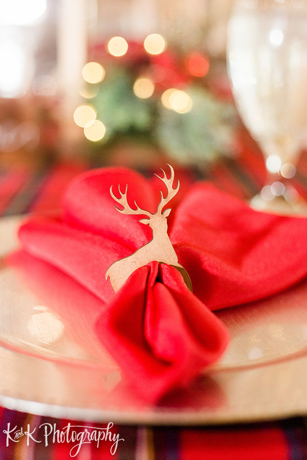 Carriage House- Christmas Wedding-A Chair Affair