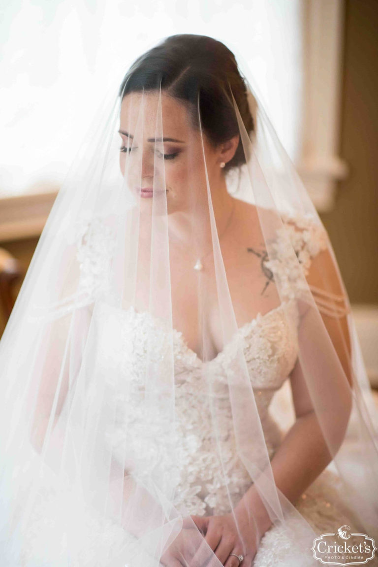 Gorgeous Bride with Veil