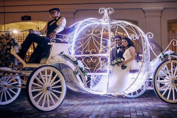 orchid garden wedding-.downtown orlando wedding