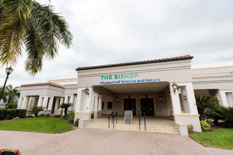 The Bishop Museum