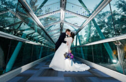 Whimsical Wedding at the Orlando Science Center