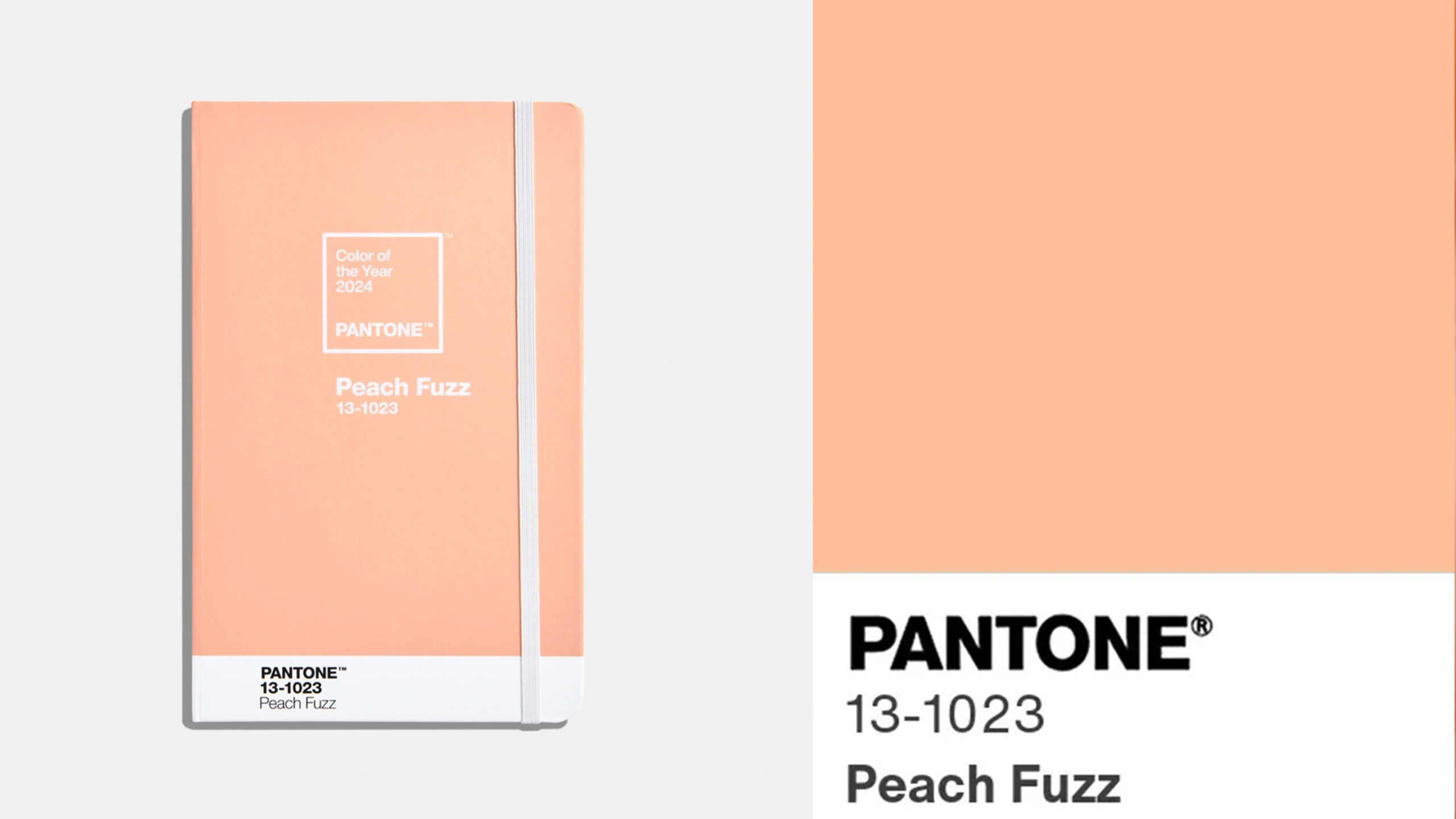 Peach Fuzz Color for Weddings and Events in 2024