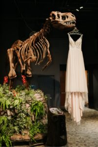 The brides gown pictured hanging from a T-rex mouth at The Orlando Science Center.