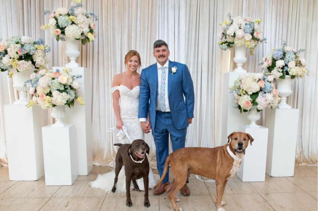 The bride and groom stand in their wedding attire while holding their dogs. In front of different tiers holding pastel and white colored flowers and linens hanging on the wall in the background