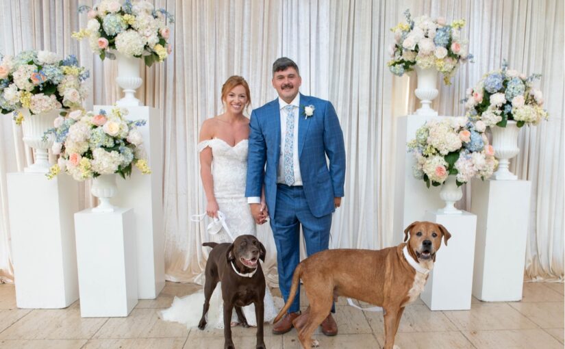 The bride and groom stand in their wedding attire while holding their dogs. In front of different tiers holding pastel and white colored flowers and linens hanging on the wall in the background