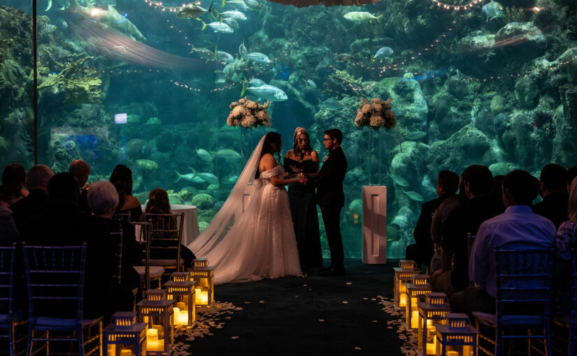 Ceremony at Florida Aquarium with lanterns. Tampa Wedding Rentals. Tampa Chair Rentals. Tampa Chiavari Chairs. Tampa Weddings