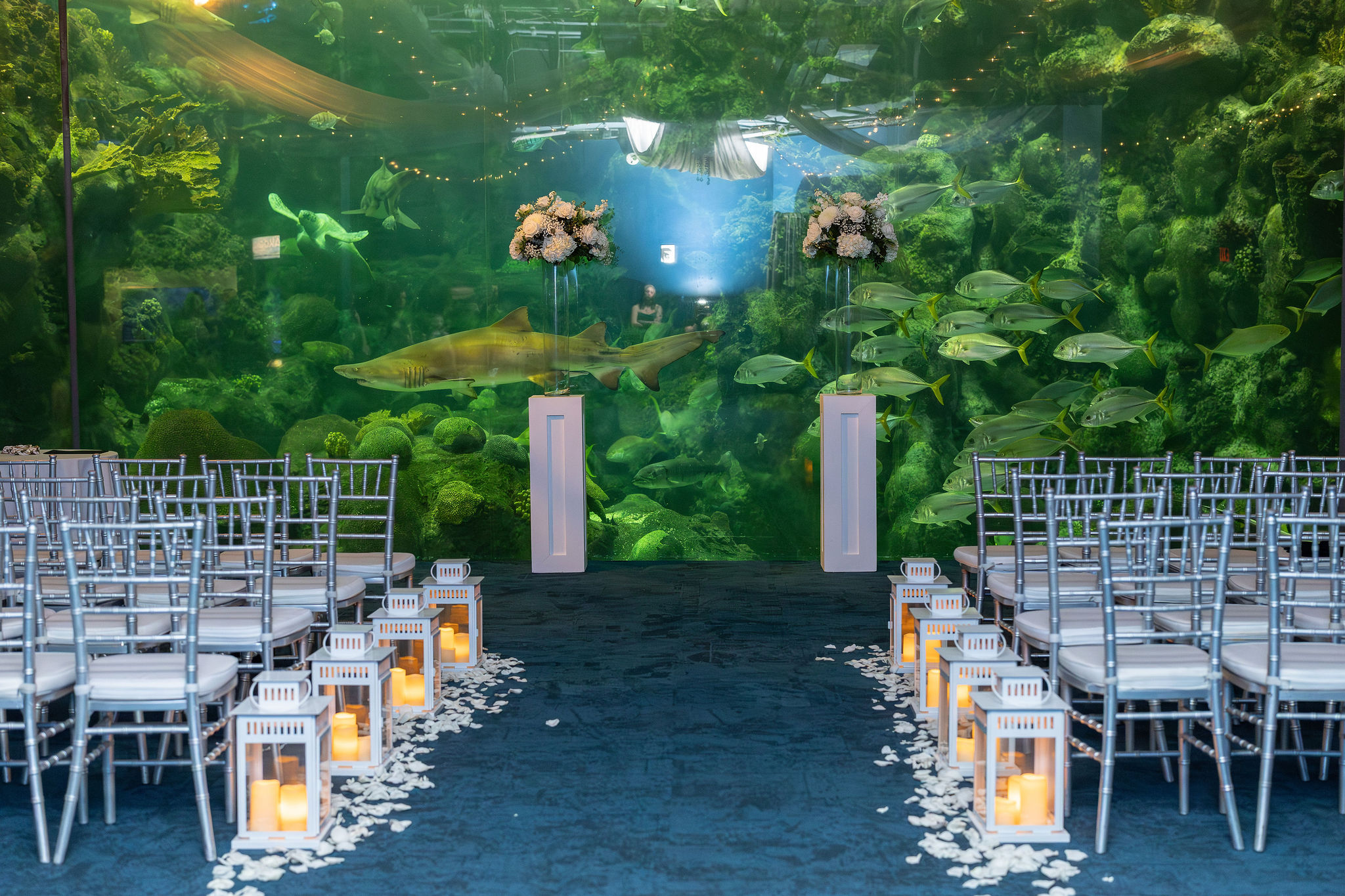 Ceremony without people. Tampa Wedding Rentals. Tampa Chair Rentals. Tampa Chiavari Chairs. Tampa Weddings