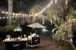 Vendor Spotlight: Scoops Wheelie Good Ice Cream Cart